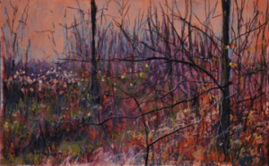 Fox Island in Color FB